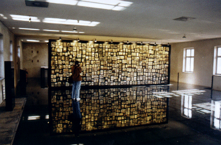 Margaret looking at exhibits in the "Shower" block, Auschwitz II - Birkenau, Poland