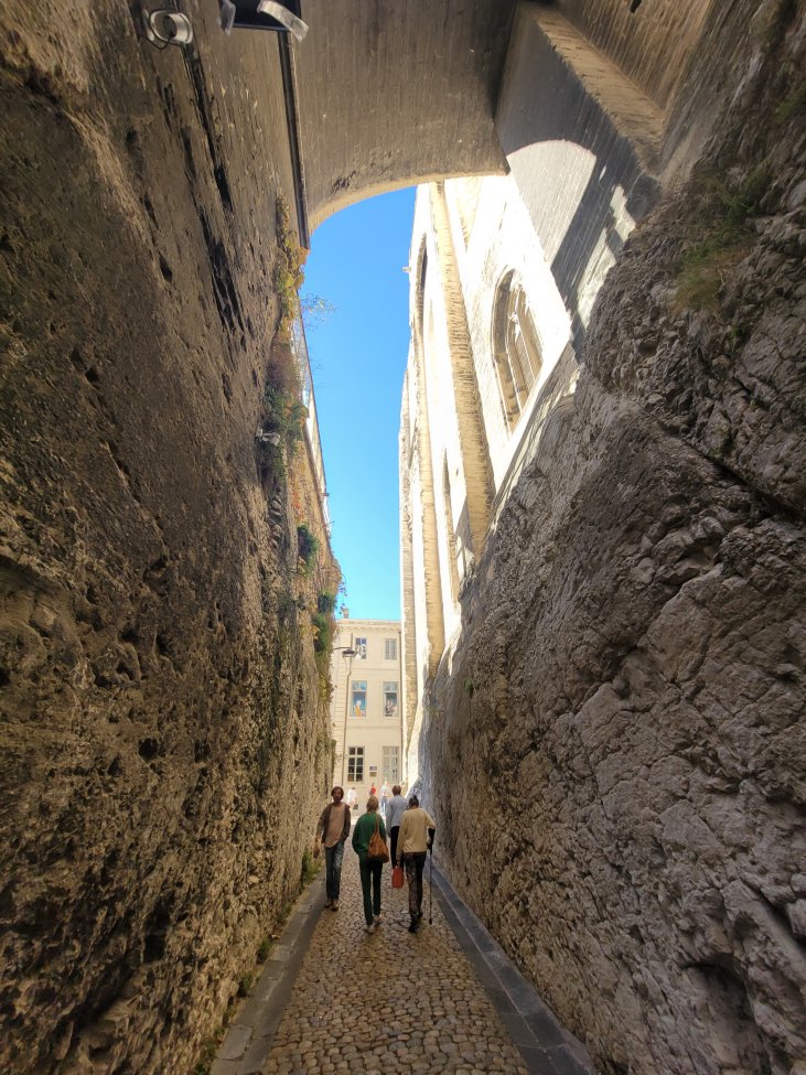 Another view of Rue Peyrollerie, Avignon, France