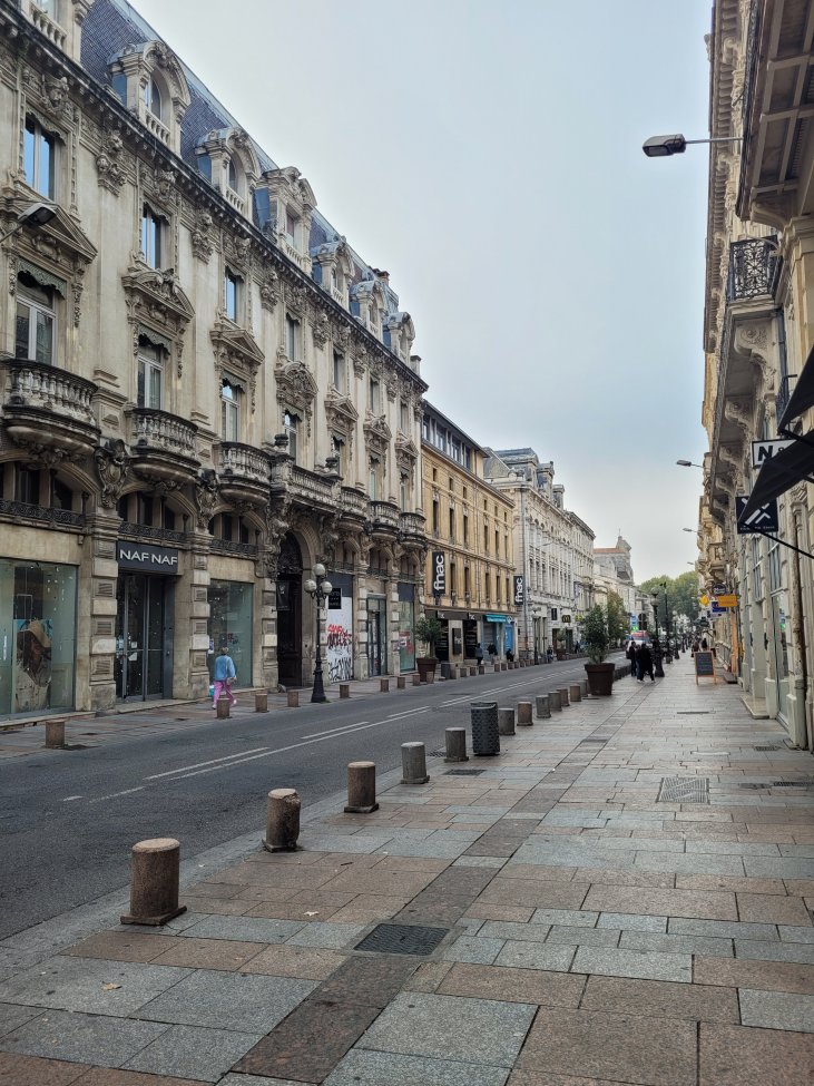 Rue de la R�publique, Avignon, France