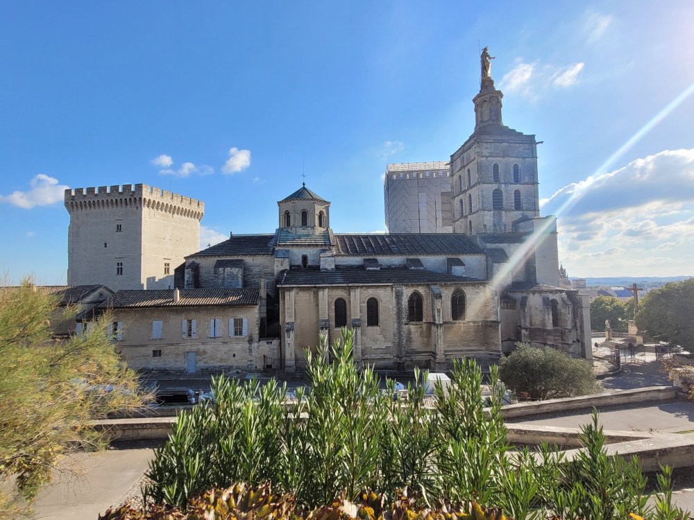 Avignon Cathedral and the Palais des Papes from the Rocher des Doms, Avignon, France