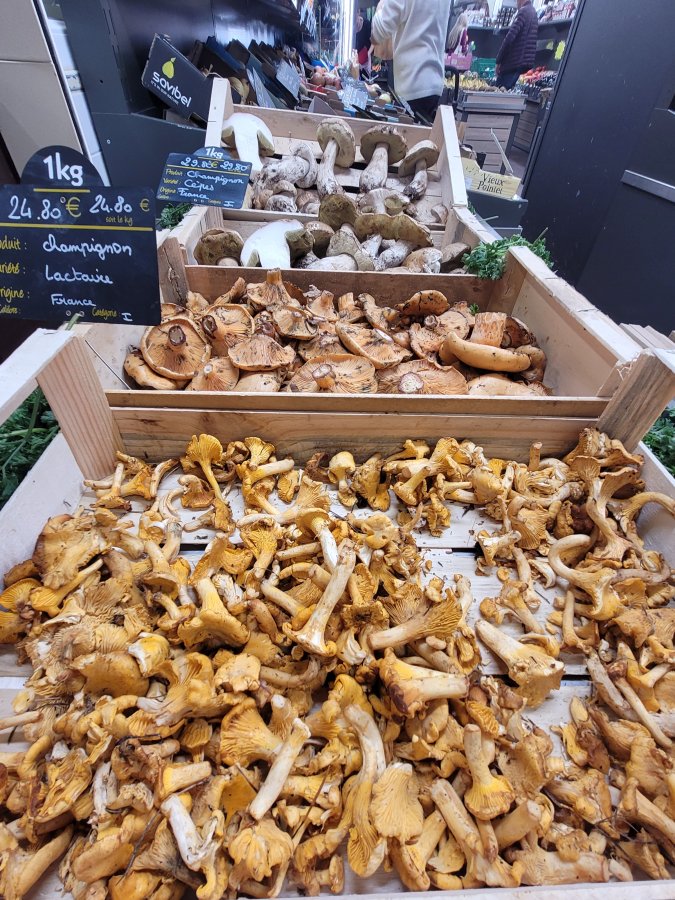 Marvellous Mushrooms in Les Halles, Avignon, France