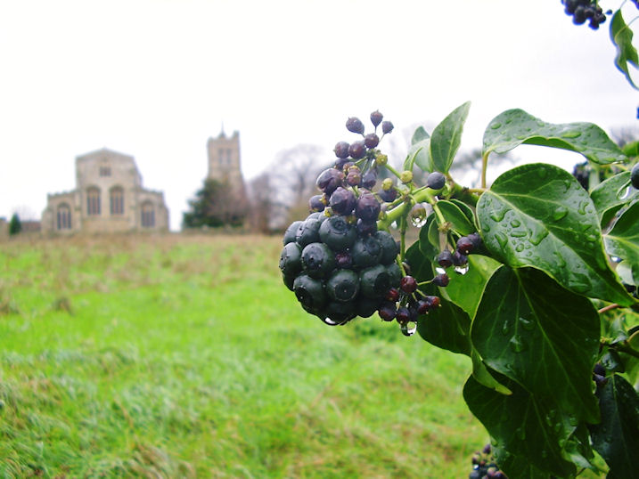 Autumnal Scene at Elstow Abbey, Bedfordshire