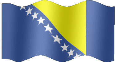 Bosnian Flag