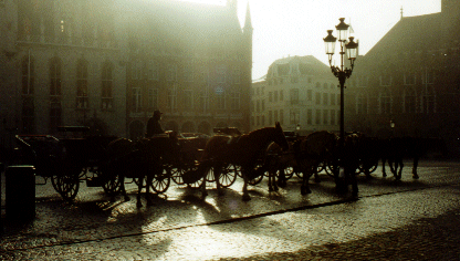 Horses Waiting in the Early Morning Mist, Brugge, Belgium