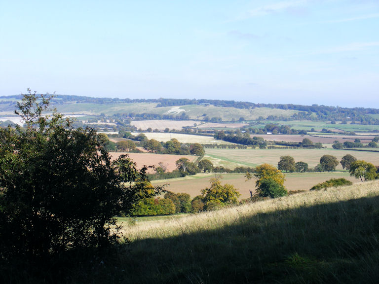 View to the Dunstable Lion from Ivinghoe Beacon, Buckinghamshire