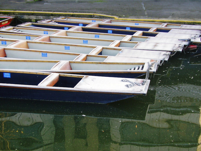 Cambridge Punts in the Morning