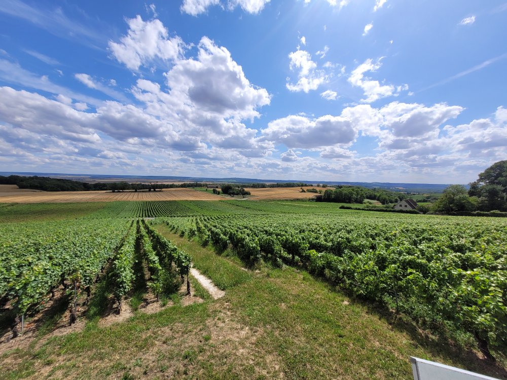 Site of the Second Battle of the Marne, Champagne, France
