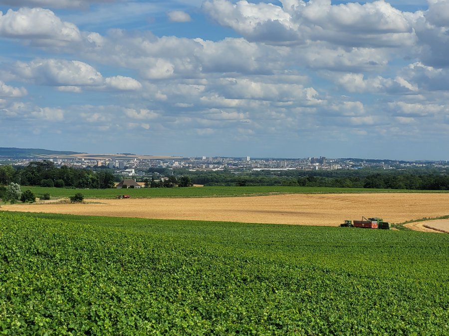 Looking towards Reims from Chenay, Champagne, France