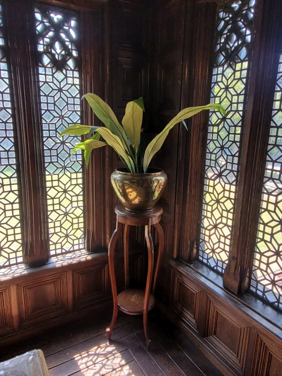 The Biggest Aspidistra? Bramall Hall, Cheshire