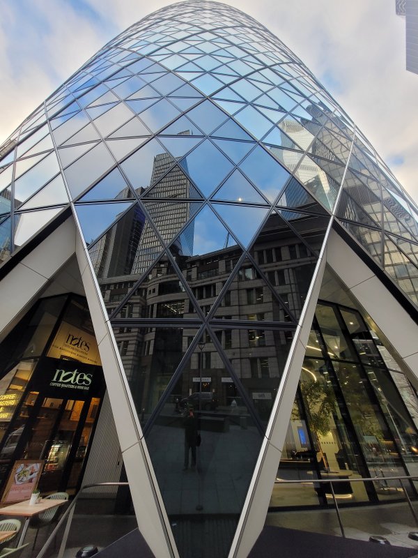 Detail of the Gherkin, City of London