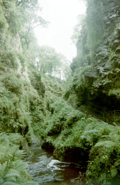 Lydford Gorge, Devon