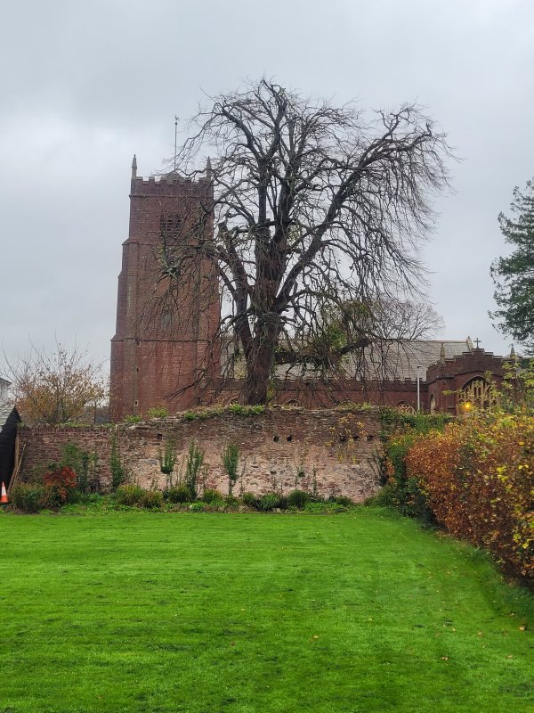 Paignton Church from the Bishop's Palace, Devon