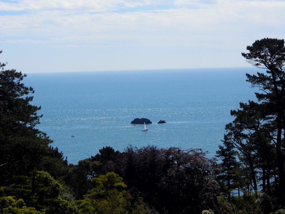 The English Riviera, Coleton Fishacre, Devon