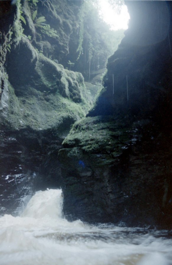 Deep in Lydford Gorge, Devon
