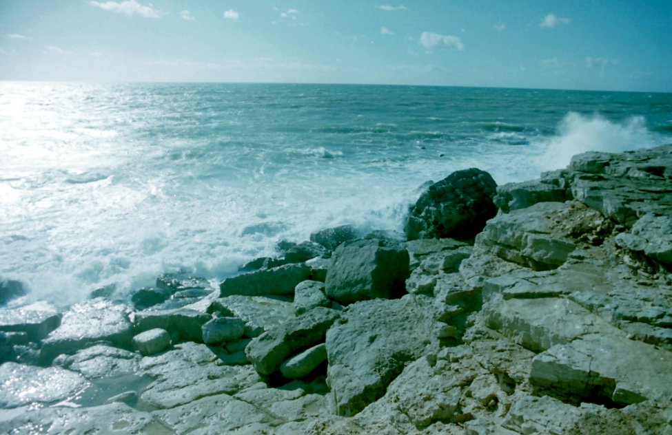 The Rock Shore at Portland Bill, Dorset