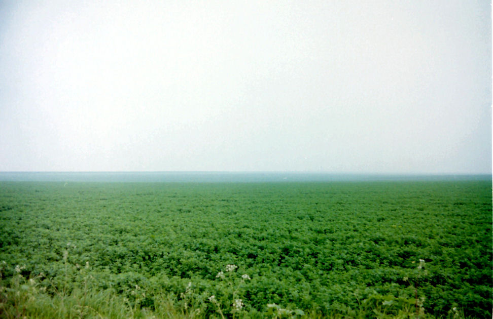 Typical Hilly Essex Landscape