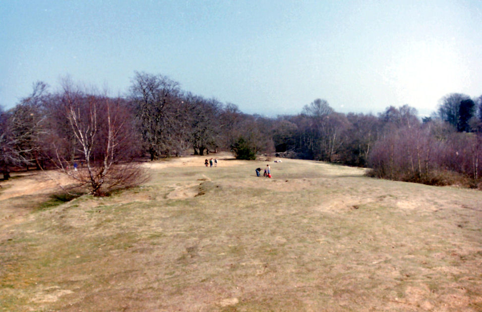 Epping Forest, Essex