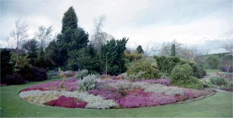Formal Flower Bed, RHS Hyde Hall, Essex
