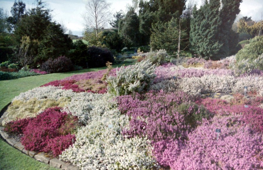 Gardens at Hyde Hall, Essex