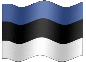 Estonian Flag
