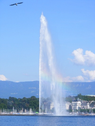 Back to the Jet D'Eau, Geneva, Switzerland
