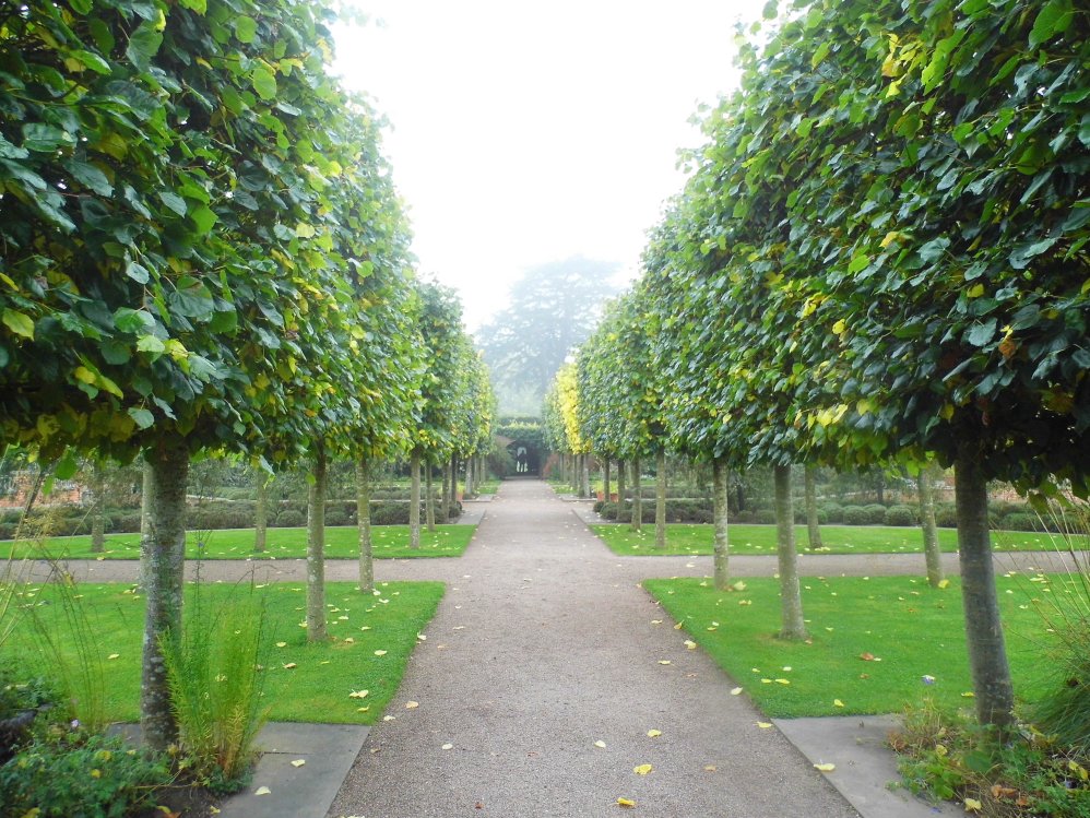Misty Morning at Hampton Court Castle Gardens, Herefordshire
