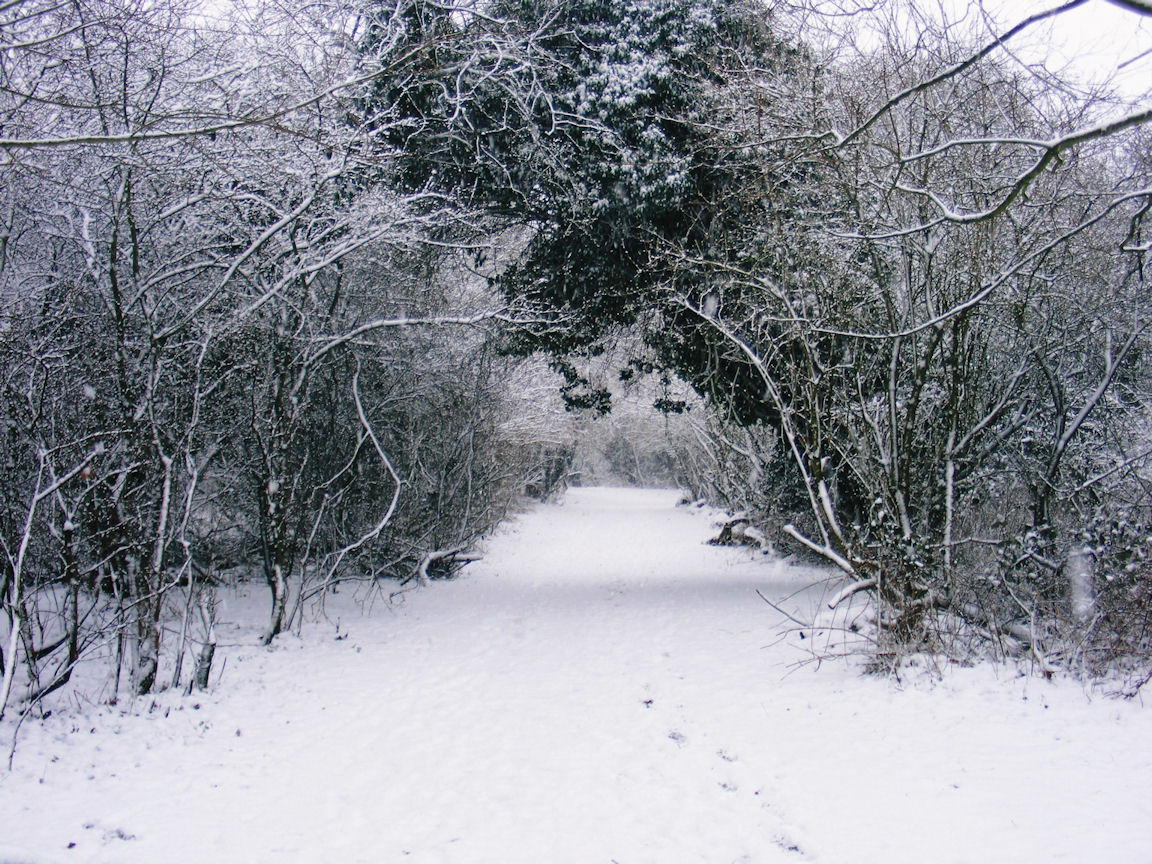 Norton Common in the snow, Letchworth Garden City, Hertfordshire