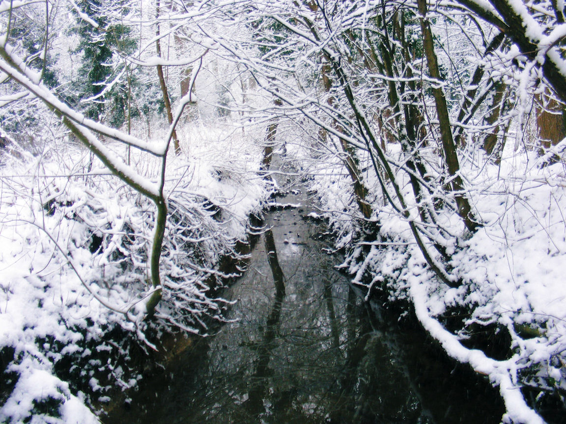 Another snow scene from Norton Common, Letchworth Garden City, Hertfordshire