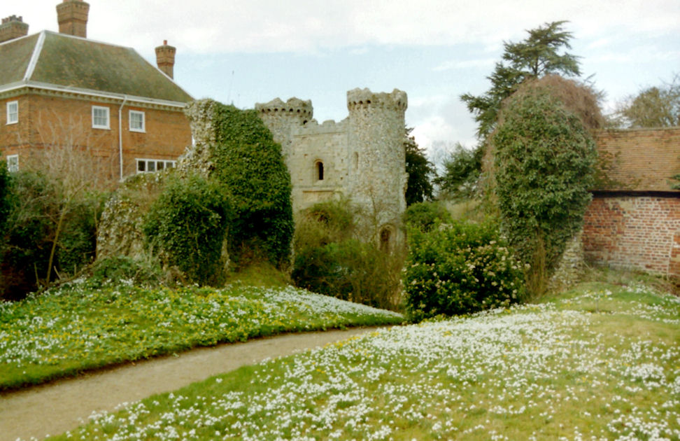 The Famous Snowdrop Display at Benington Lorship, Hertfordshire