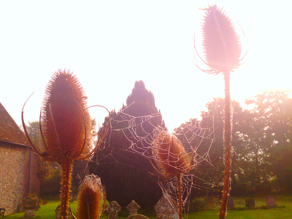 Autumn Scene at Reed, Hertfordshire