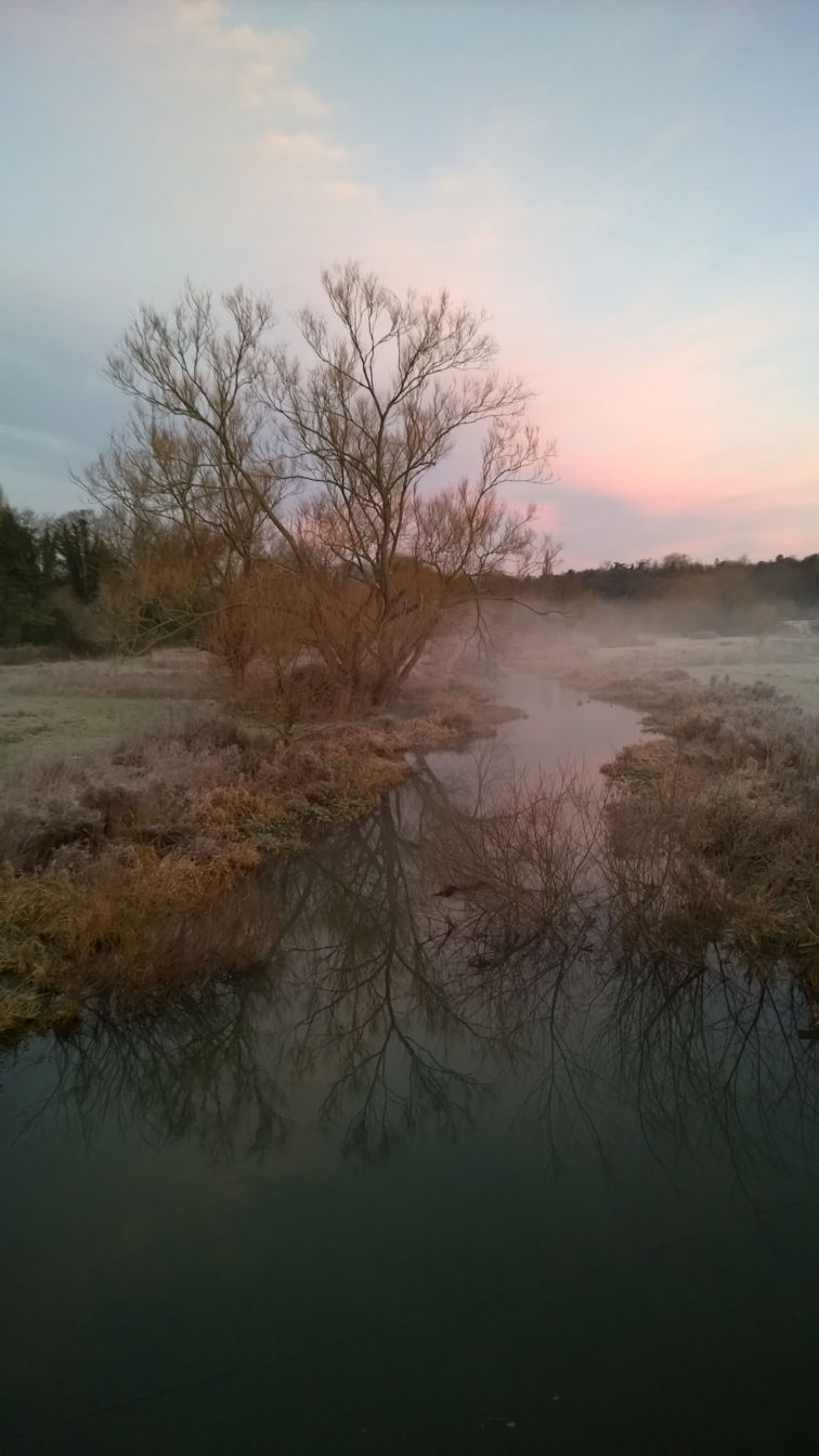 Misty morning on the River Bean, Hertford, Hertfordshire