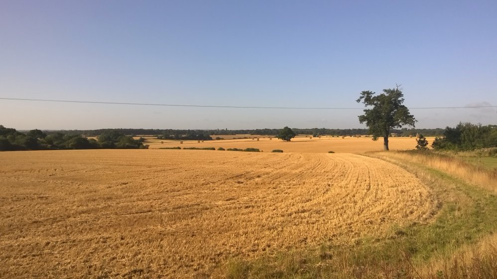 Field at Bramfield, Hertfordshire