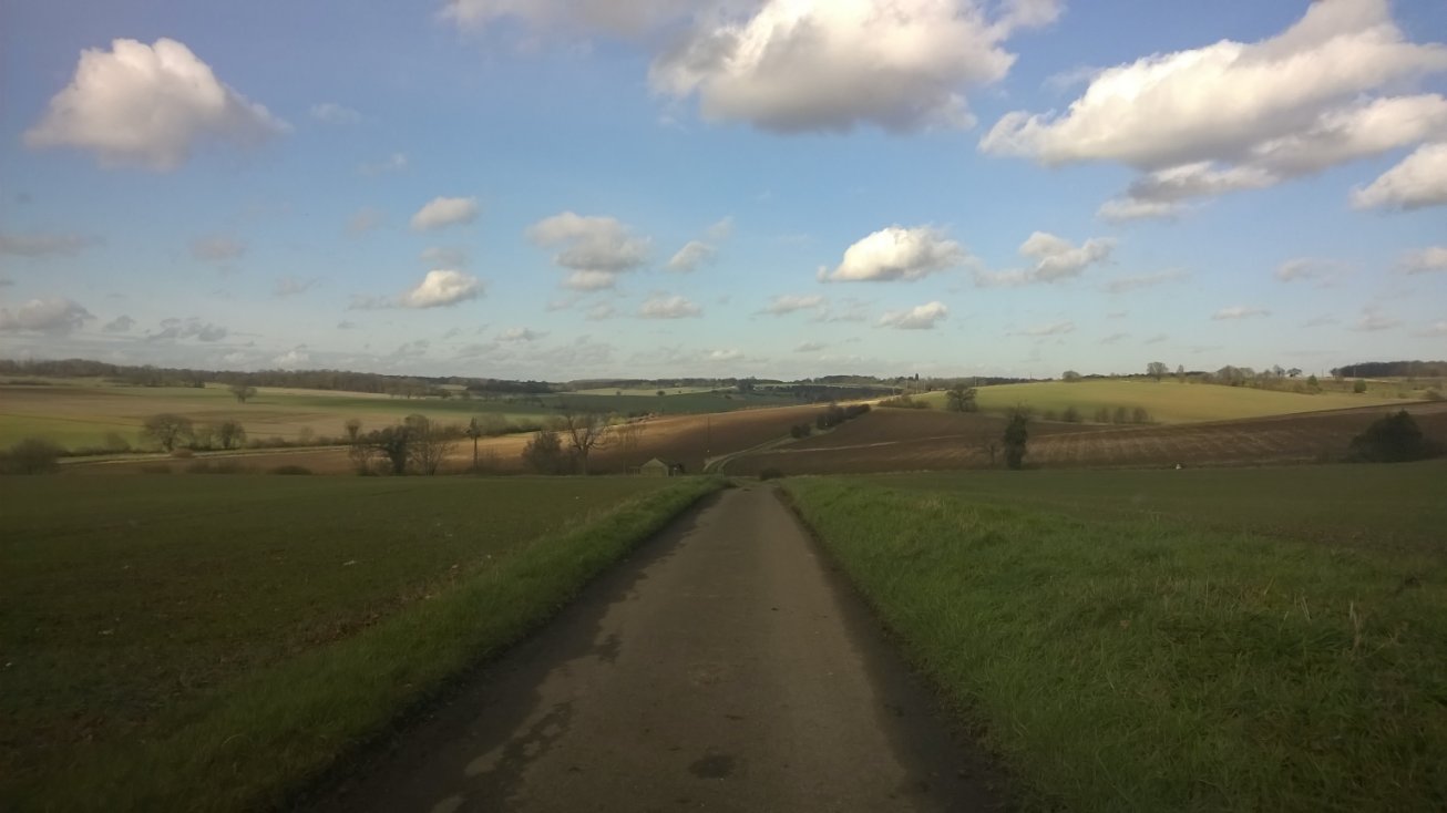 View near Sacombe, Hertfordshire