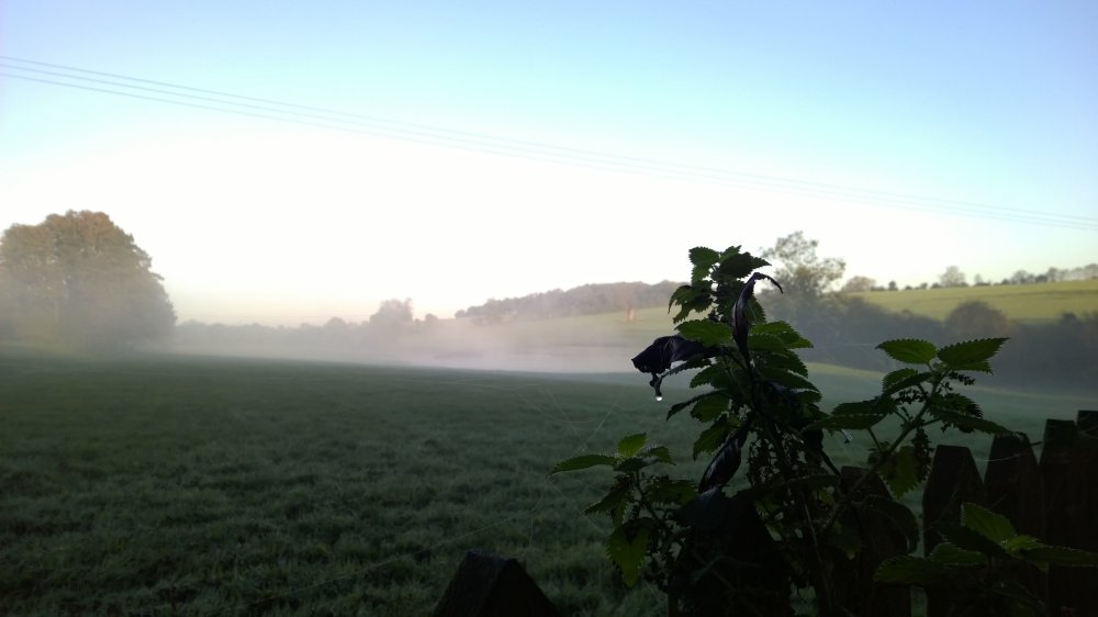 Early Morning Mists in Aspenden, Hertfordshire