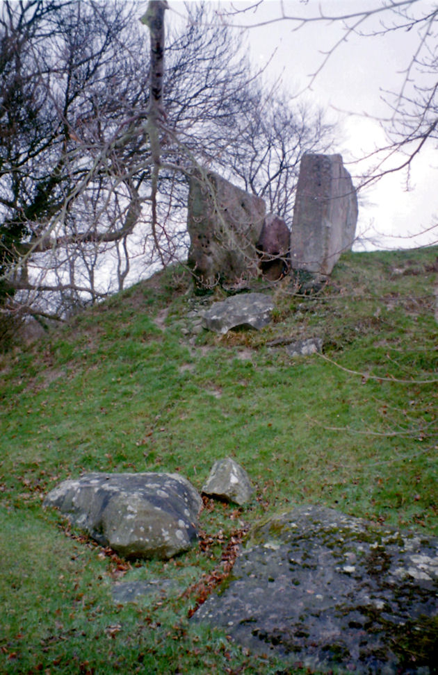Coldrum Stones, Kent
