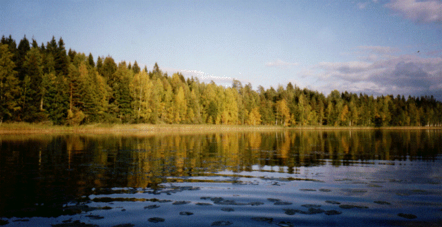 A Finnish Lake
