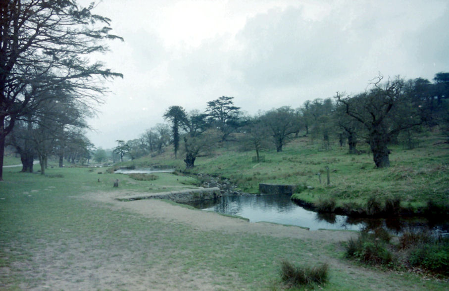 Bradgate Park, Leicestershire