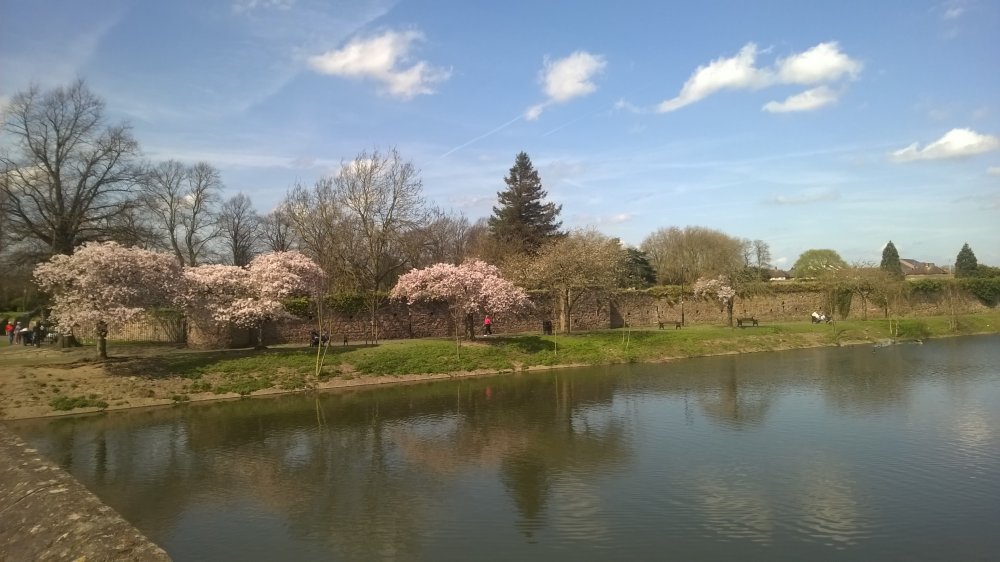 The River and Abbey Outer Wall, Abbey Park, Leicester, Leicestershire