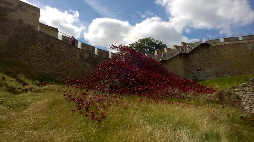 Poppy Wave at Lincoln Castle