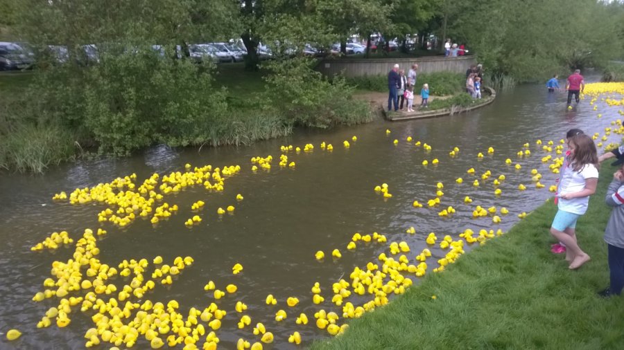 Duck's on the River Bain, Horncastle, Lincolnshire