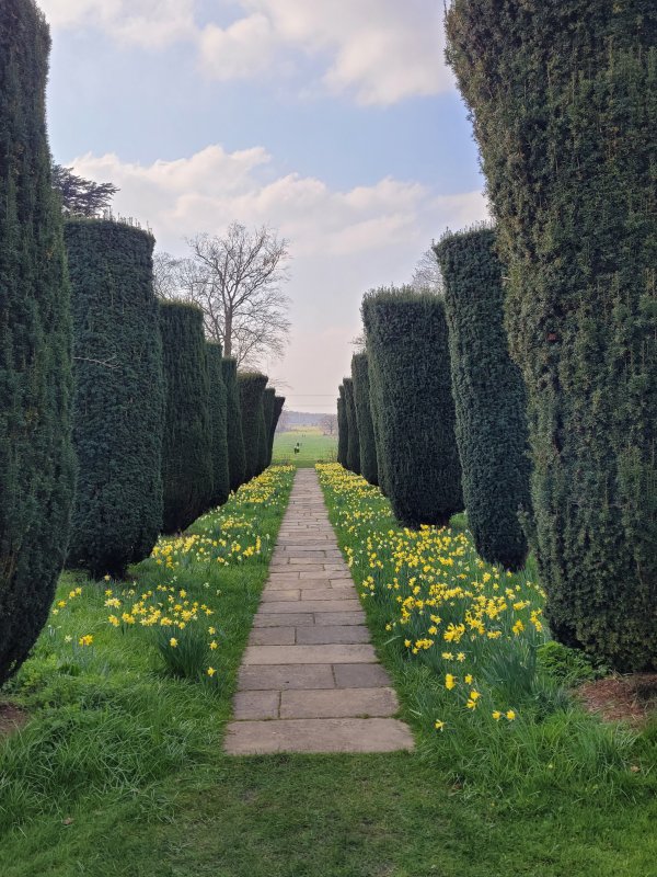 Tree Avenue at Doddington Hall, Lincolnshire