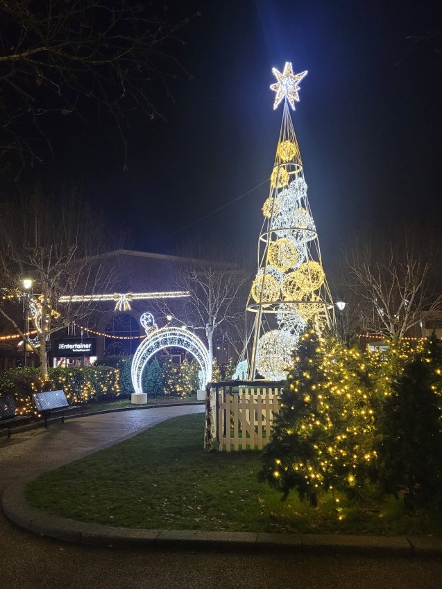 Christmas Display in St. Marks' Garden, Lincoln, Lincolnshire