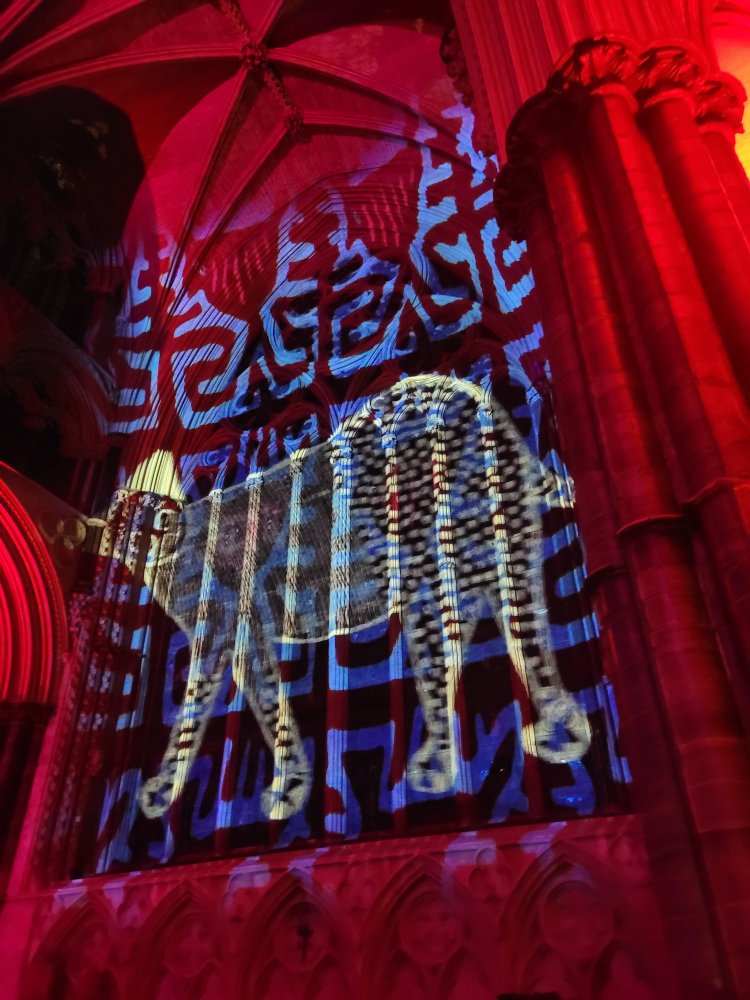 I Thought I Saw A Pussycat! Life by Luxmuralis at Lincoln Cathedral, Lincolnshire