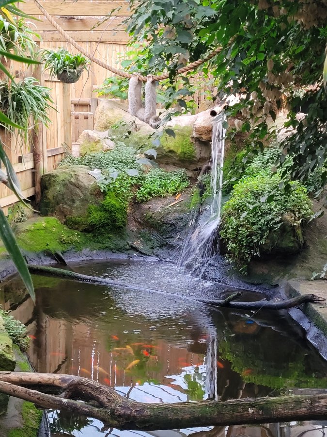 Tropical Paradise at Lincoln Zoo (Woodside Wildlife Park), Lincolnshire