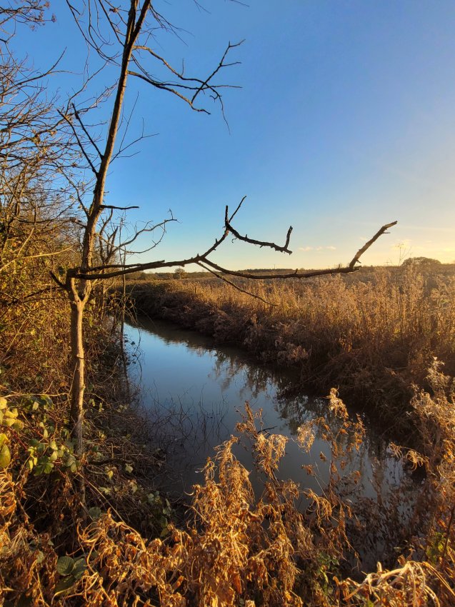 Drainage Channel at Doddington, Lincolnshire