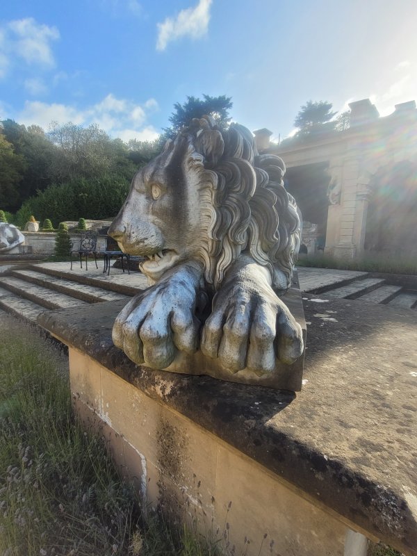 One of the Many Lions at Harlaxton Manor, Lincolnshire