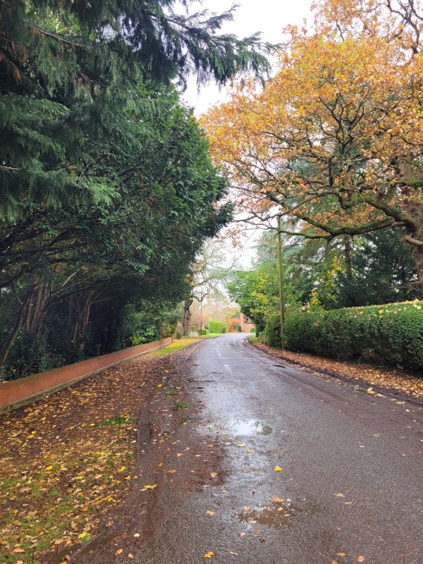 Autumnal View in Utterby, Lincolnshire