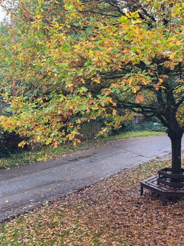 Autumn in the Wolds, Utterby, Lincolnshire