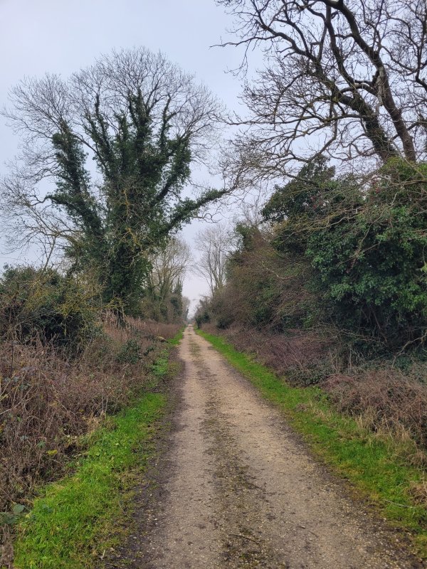 The Spa Trail on the Viking Way near Woodhall Spa, Lincolnshire