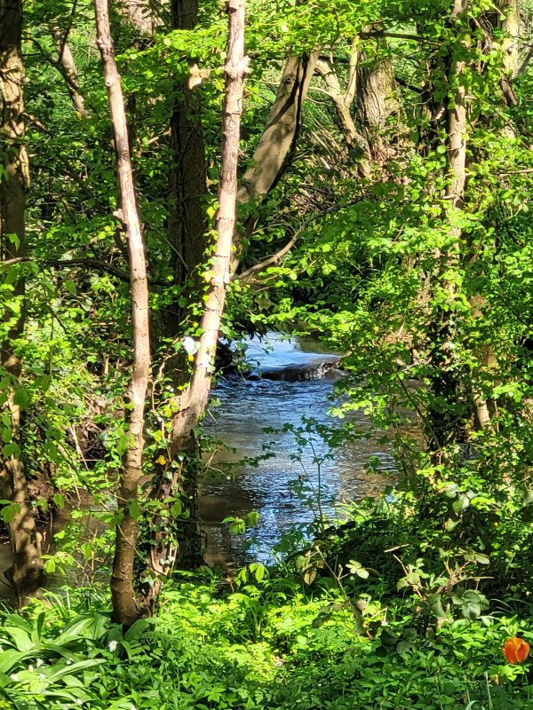 Actually the tiny River Lymm! Somersby, Lincolnshire